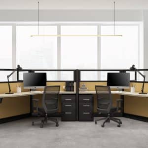 System 2 Friant Workstation