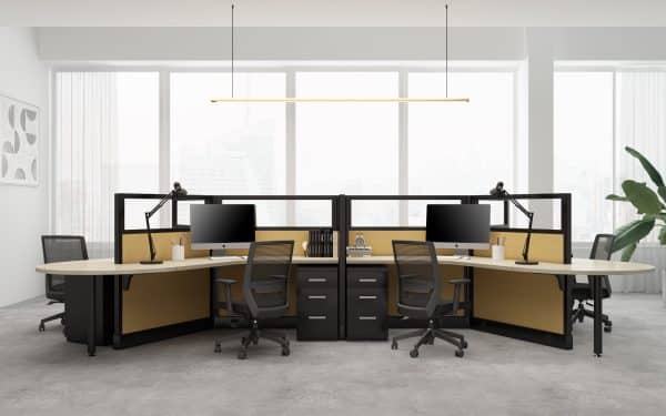 System 2 Friant Workstation